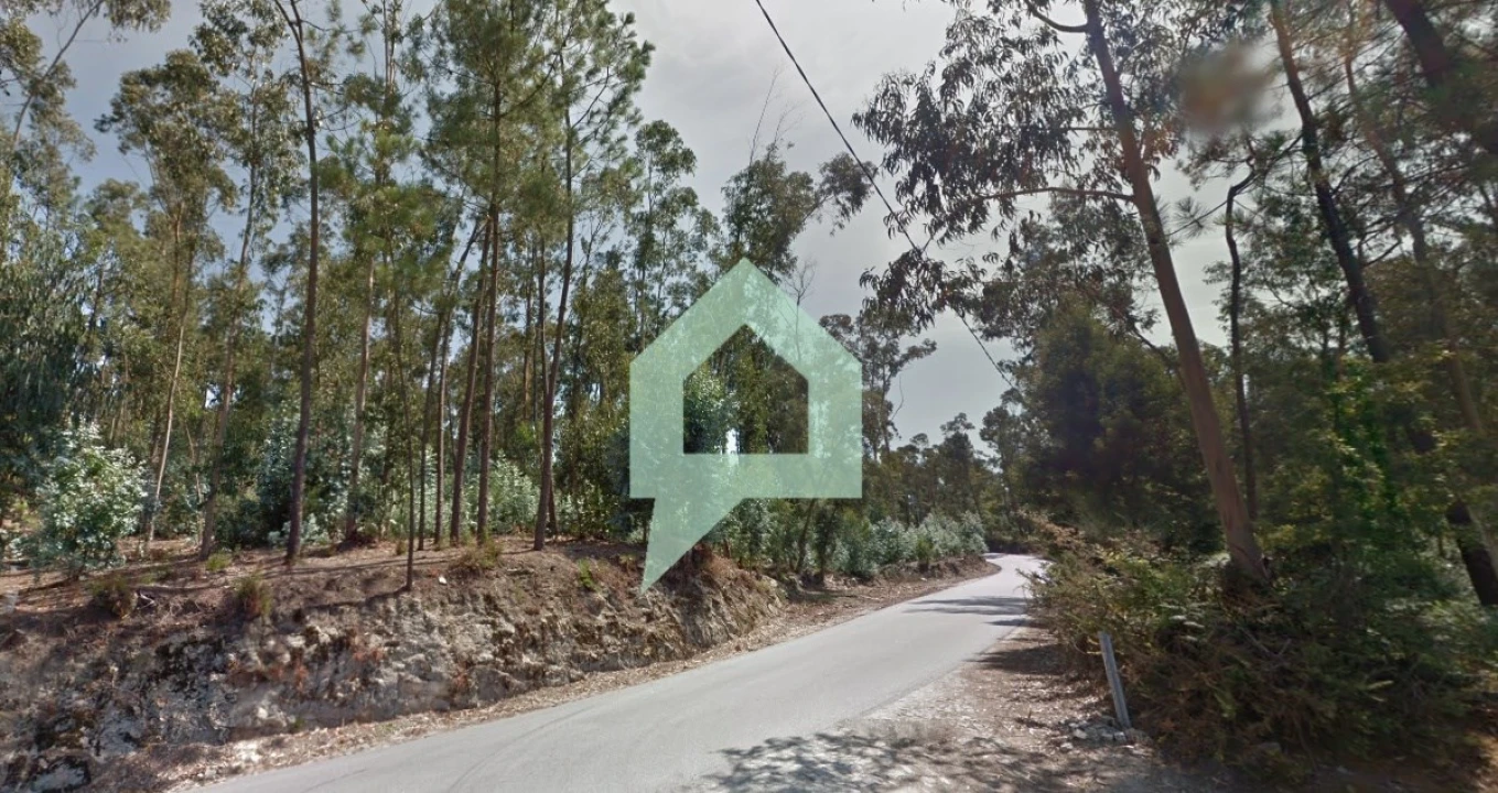 Terreno para Venda em Alvito (São Pedro e São Martinho) e Couto Foto 10