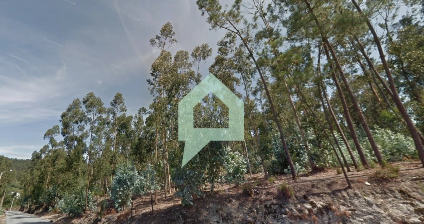 Terreno para Venda em Alvito (São Pedro e São Martinho) e Couto Foto 11