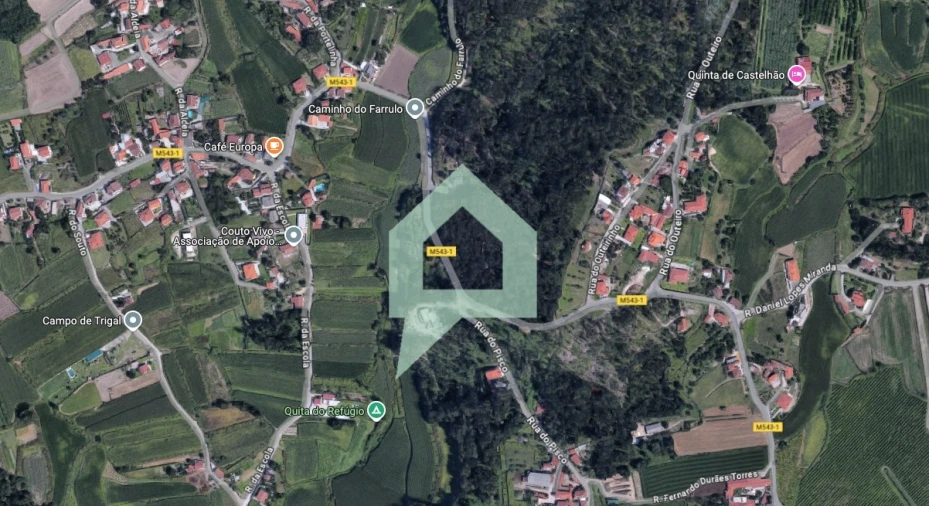 Terreno para Venda em Alvito (São Pedro e São Martinho) e Couto