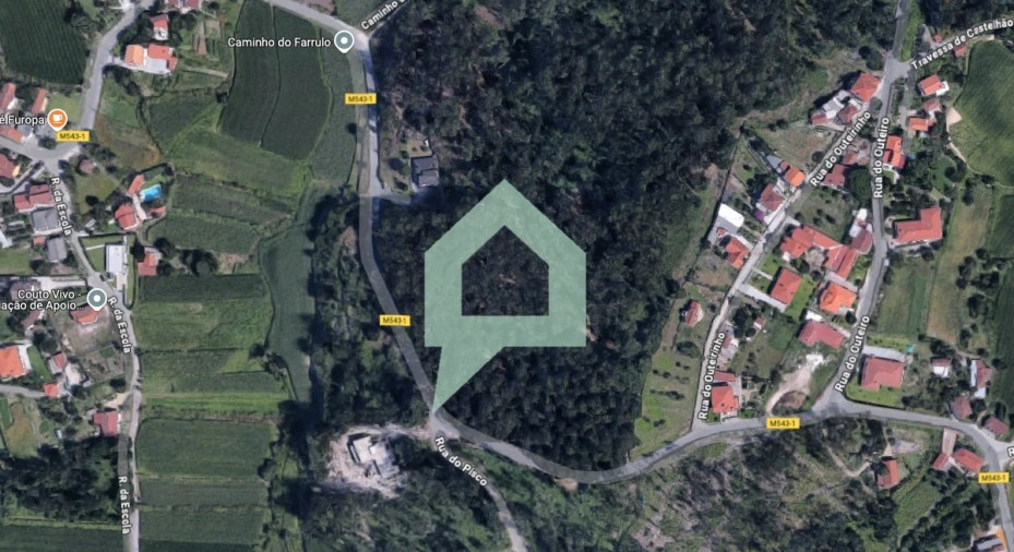 Terreno para Venda em Alvito (São Pedro e São Martinho) e Couto Foto 3