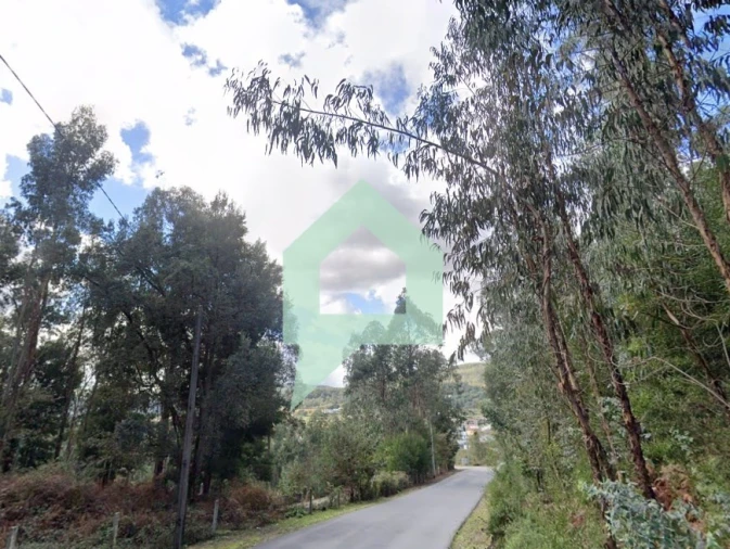 Terreno para Venda em Alvito (São Pedro e São Martinho) e Couto Foto 4