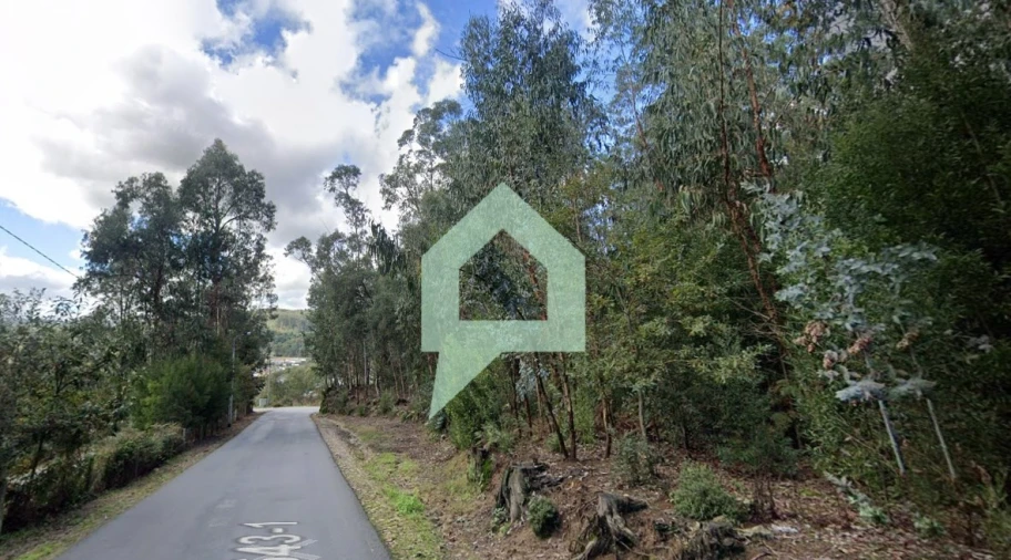 Terreno para Venda em Alvito (São Pedro e São Martinho) e Couto Foto 6