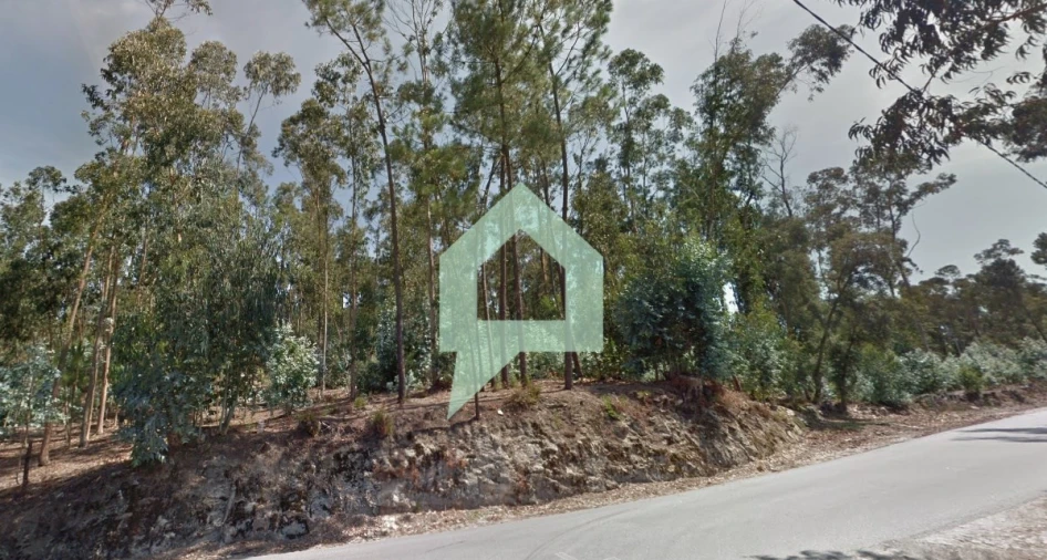 Terreno para Venda em Alvito (São Pedro e São Martinho) e Couto Foto 8