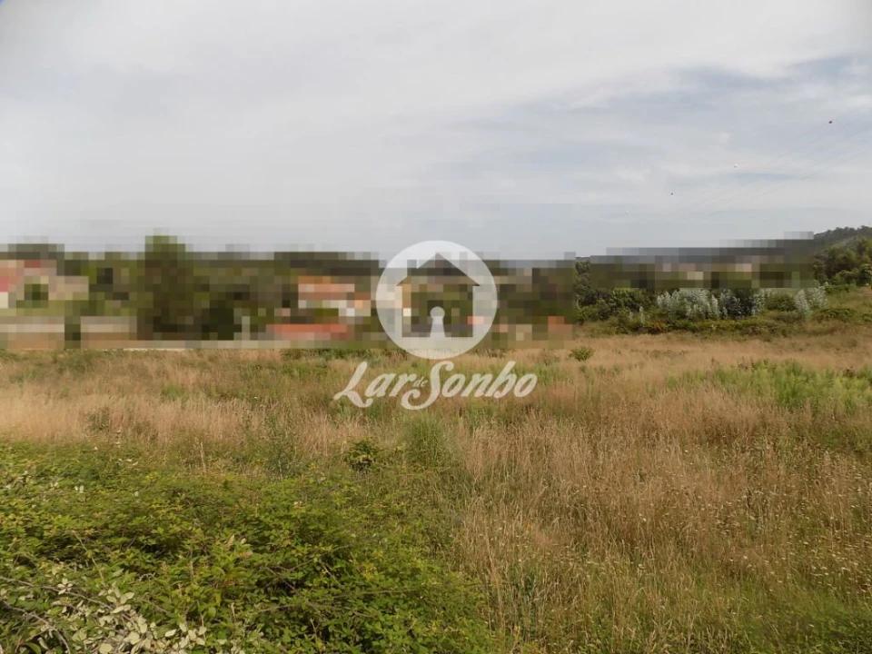 Terreno Agricola ou Rústico para Venda em Areias, Sequeirô, Lama e Palmeira Foto 1