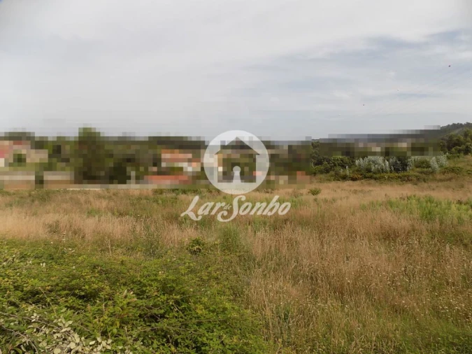 Terreno Agricola ou Rústico para Venda em Areias, Sequeirô, Lama e Palmeira Foto 1