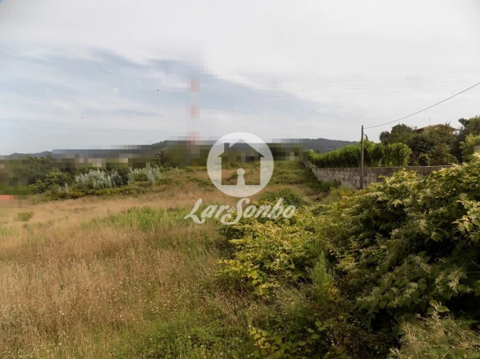 Terreno Agricola ou Rústico para Venda em Areias, Sequeirô, Lama e Palmeira Foto 2