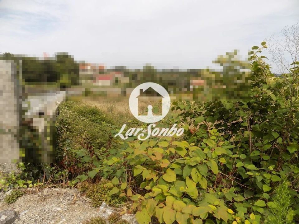 Terreno Agricola ou Rústico para Venda em Landim Foto 3