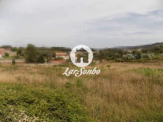 Terreno Agricola ou Rústico para Venda em Landim Foto 1