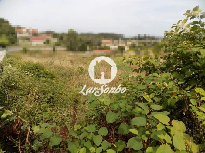 Terreno Agricola ou Rústico para Venda em Landim Foto 4