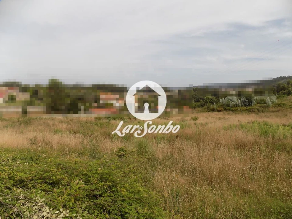 Terreno Agricola ou Rústico para Venda em Areias, Sequeirô, Lama e Palmeira Foto 2