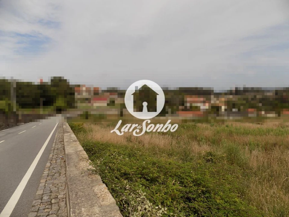 Terreno Agricola ou Rústico para Venda em Areias, Sequeirô, Lama e Palmeira Foto 5