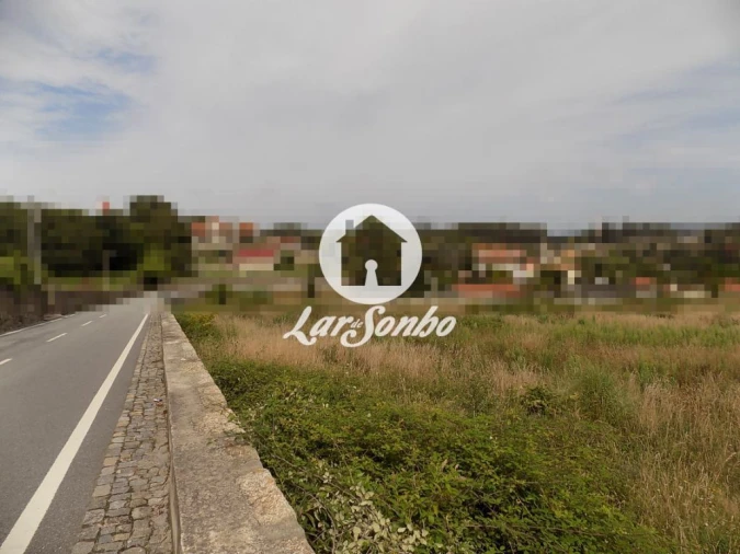 Terreno Agricola ou Rústico para Venda em Areias, Sequeirô, Lama e Palmeira Foto 5