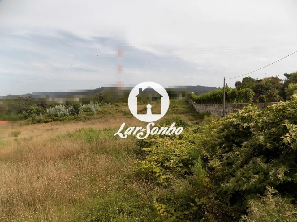 Terreno Agricola ou Rústico para Venda em Landim Foto 3