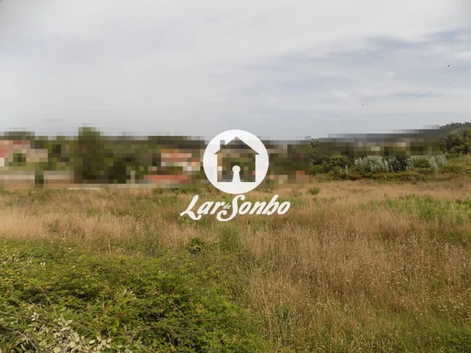 Terreno Agricola ou Rústico para Venda em Landim Foto 2