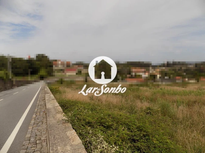 Terreno Agricola ou Rústico para Venda em Landim Foto 5