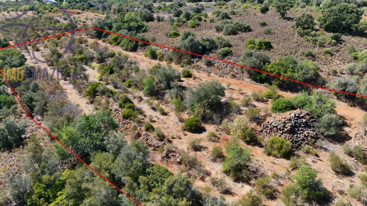 Terreno para Venda em Silves Foto 2