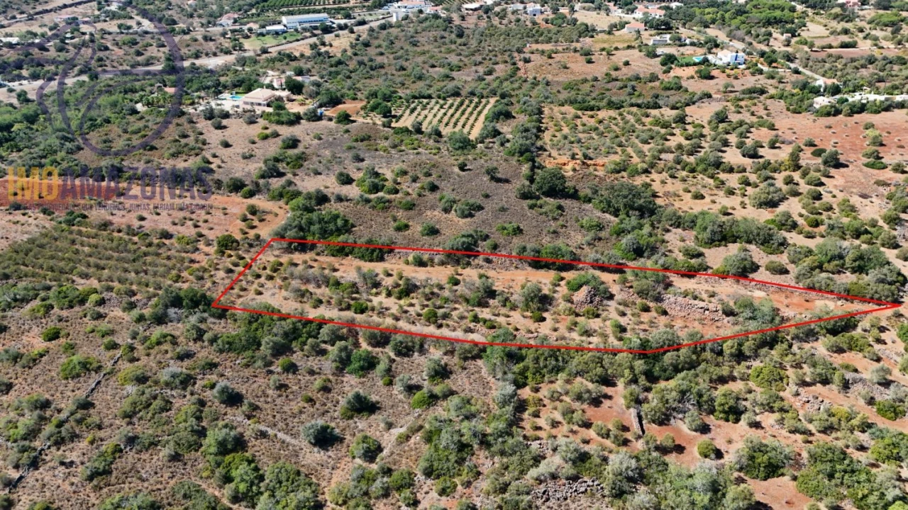 Terreno para Venda em Silves Foto 6