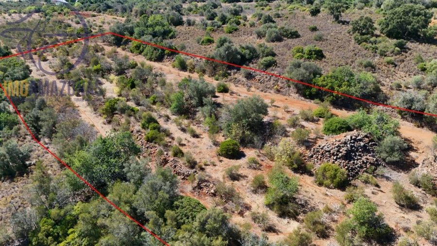 Terreno para Venda em Silves Foto 2