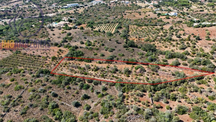 Terreno para Venda em Silves Foto 6