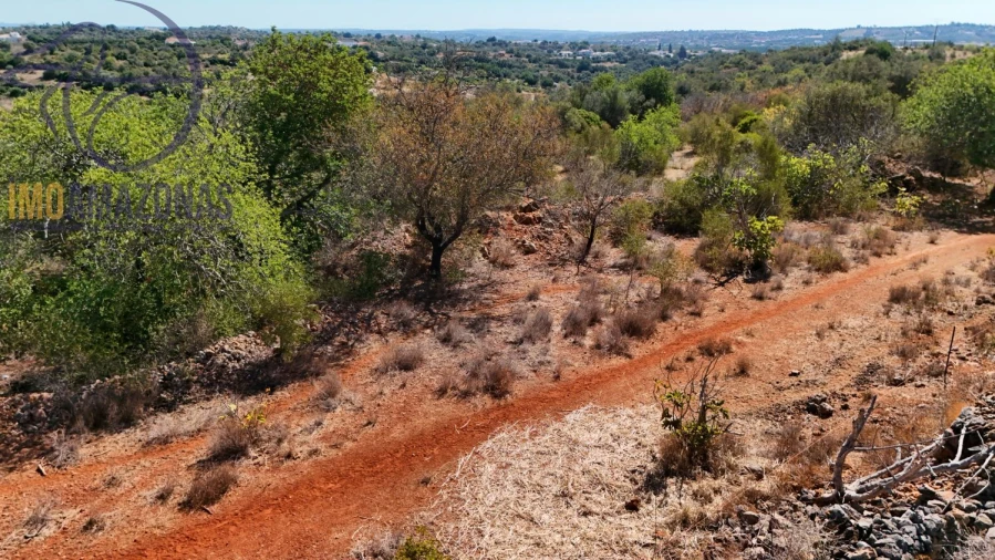 Terreno para Venda em Silves Foto 5