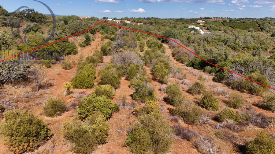 Terreno para Venda em Silves Foto 3