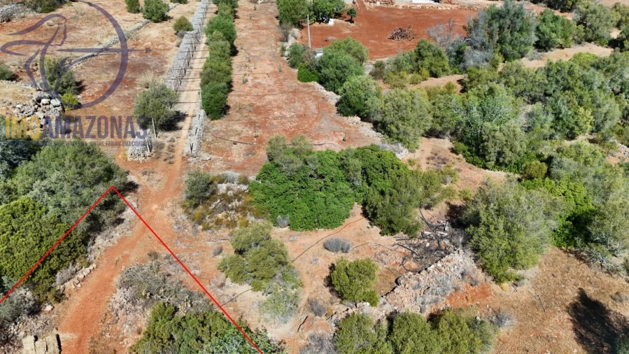 Terreno para Venda em Silves Foto 4
