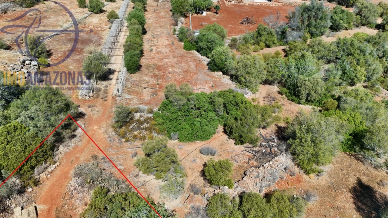 Terreno para Venda em Silves Foto 4