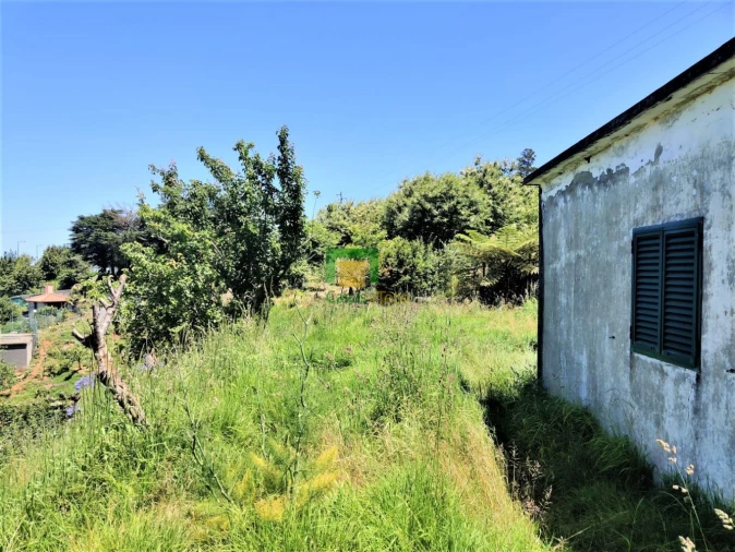 Moradia T2 para Venda em Santana Foto 3