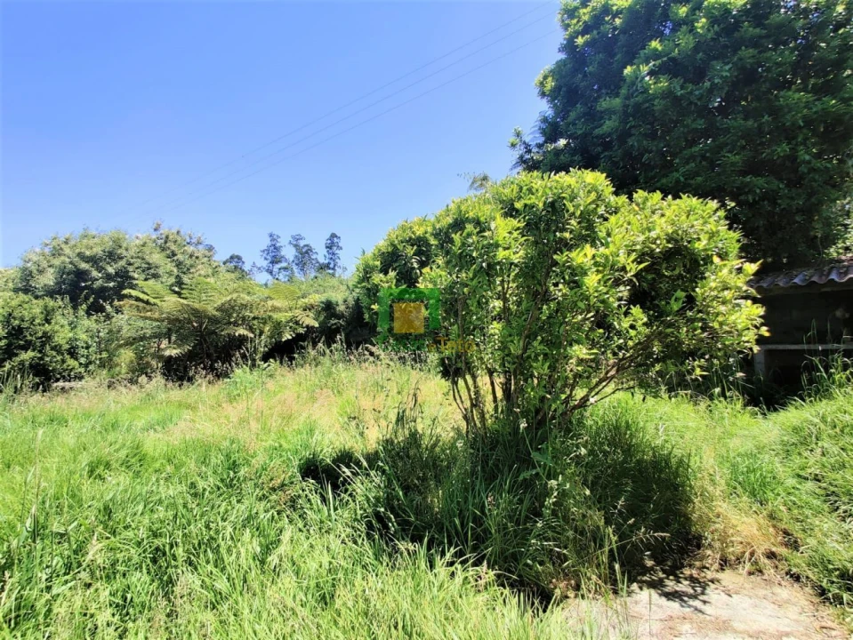 Moradia T2 para Venda em Santana Foto 5