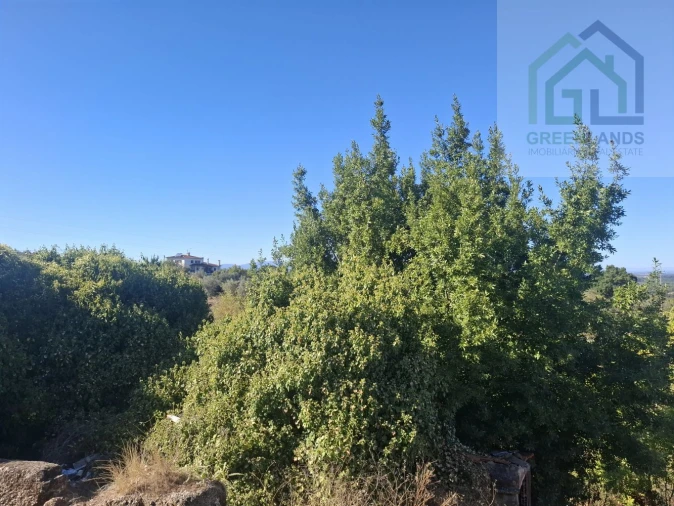 Moradia T2 para Venda em Candosa Foto 20