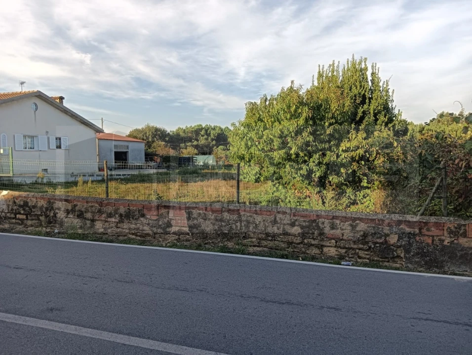 Terreno para Venda em Oiã Foto 3