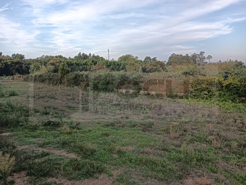 Terreno para Venda em Oiã Foto 6
