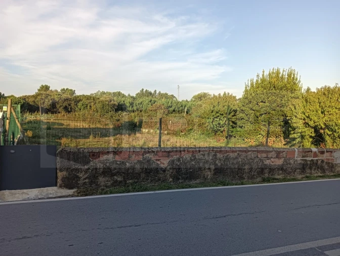 Terreno para Venda em Oiã Foto 7