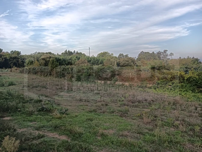 Terreno para Venda em Oiã Foto 10