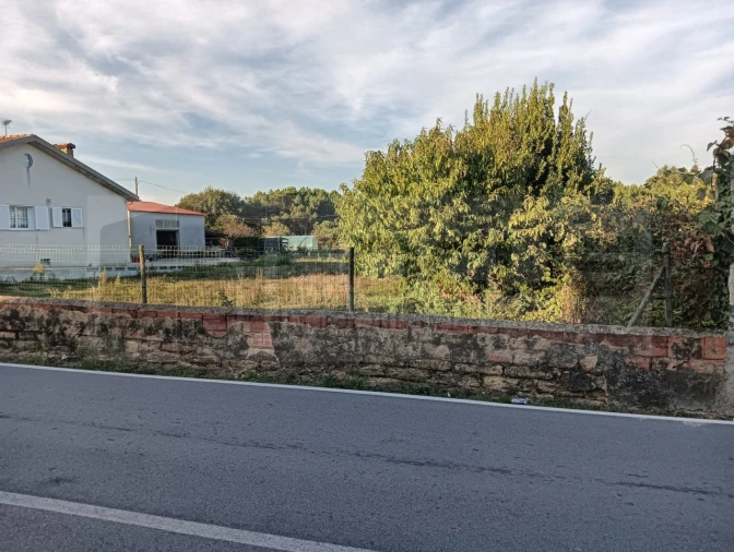 Terreno para Venda em Oiã Foto 14