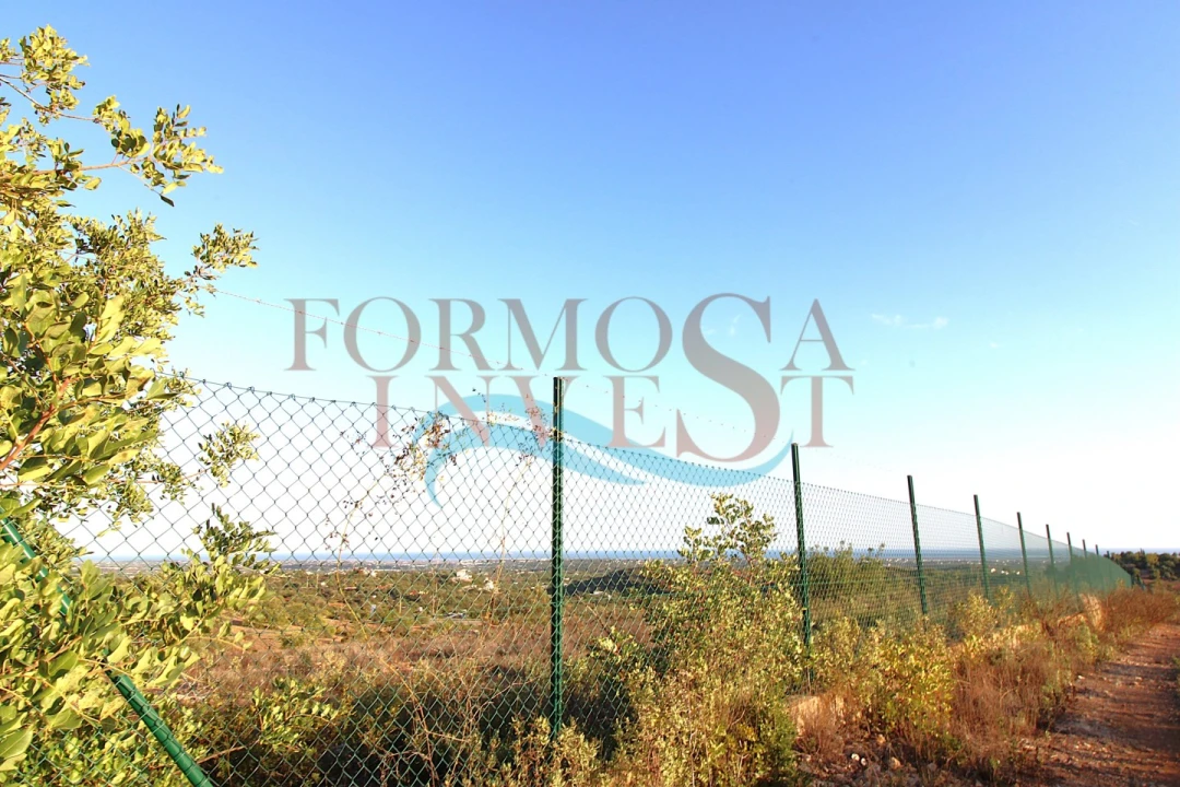 Terreno Agricola ou Rústico para Venda em Moncarapacho e Fuseta Foto 4