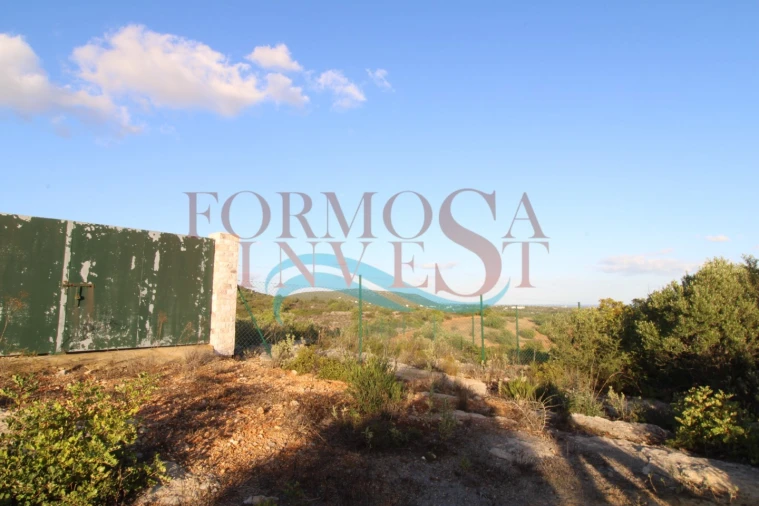 Terreno Agricola ou Rústico para Venda em Moncarapacho e Fuseta Foto 10