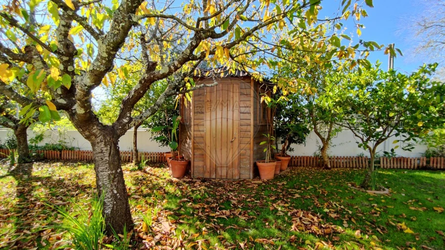 Moradia T2 para Venda em Brogueira, Parceiros de Igreja e Alcorochel Foto 13