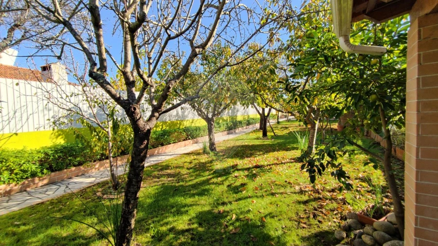 Moradia T2 para Venda em Brogueira, Parceiros de Igreja e Alcorochel Foto 31