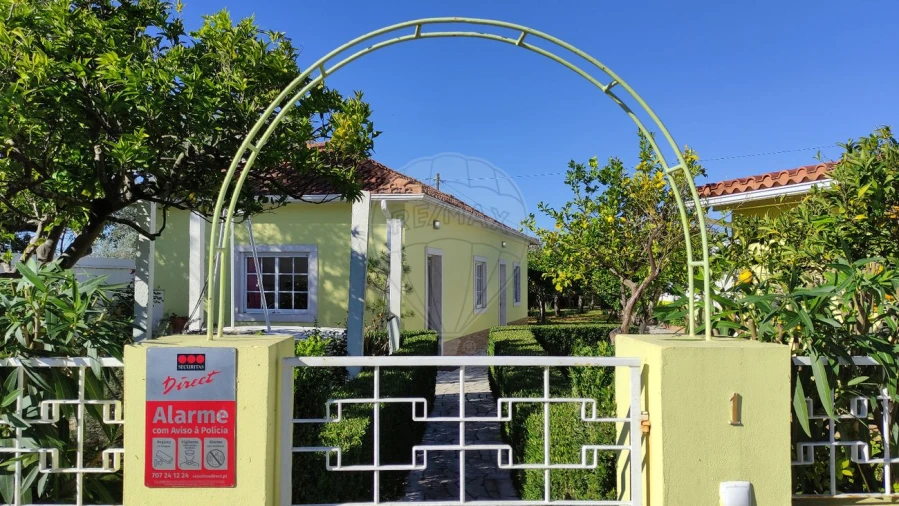 Moradia T2 para Venda em Brogueira, Parceiros de Igreja e Alcorochel Foto 35