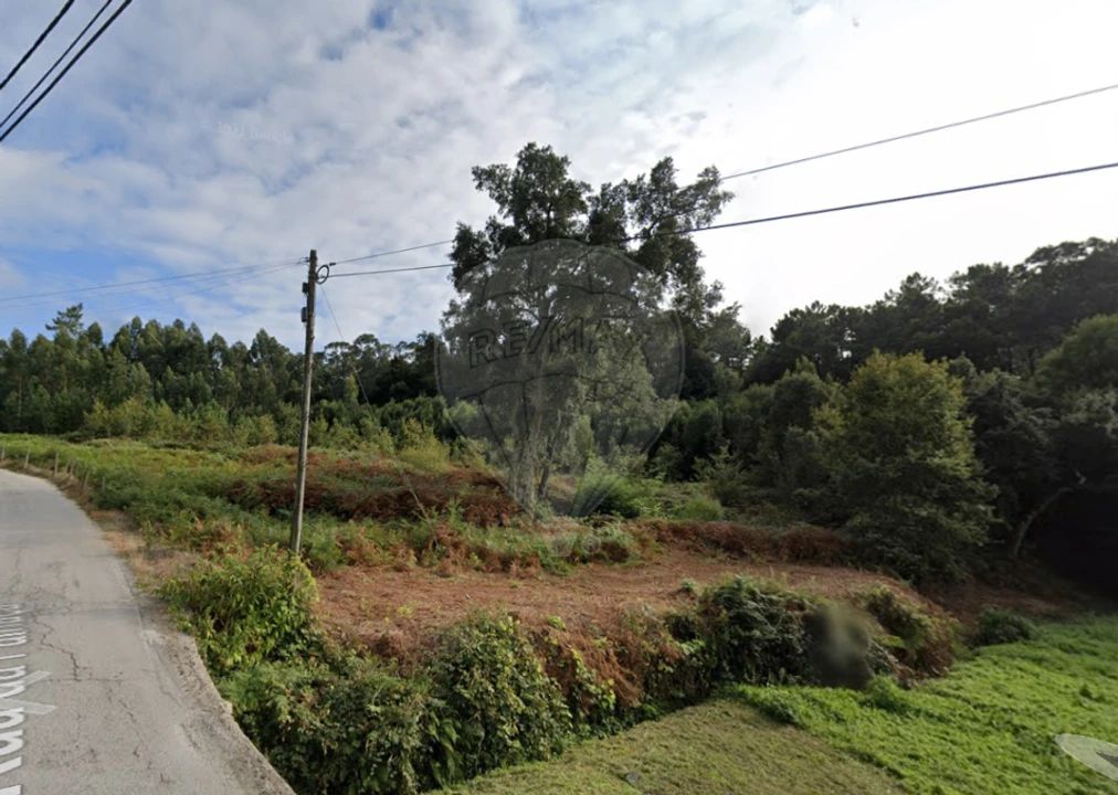 Terreno para Venda em Milheiros de Poiares Foto 1