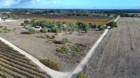 Terreno para Venda em Palmela