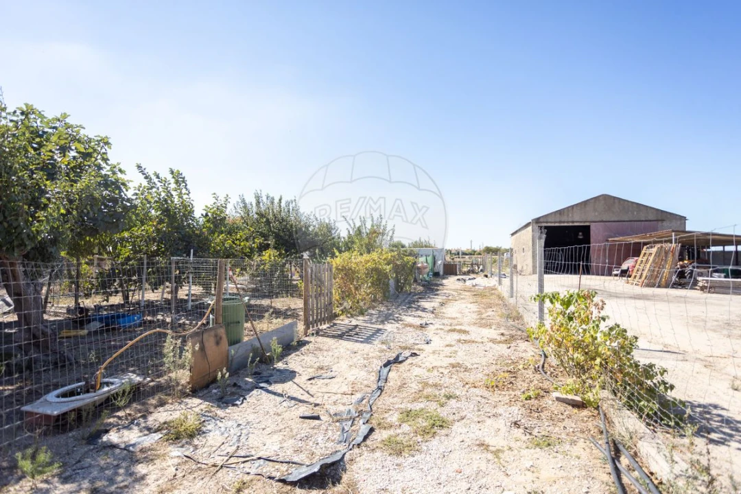 Moradia T2 para Venda em Salvaterra de Magos e Foros de Salvaterra Foto 35