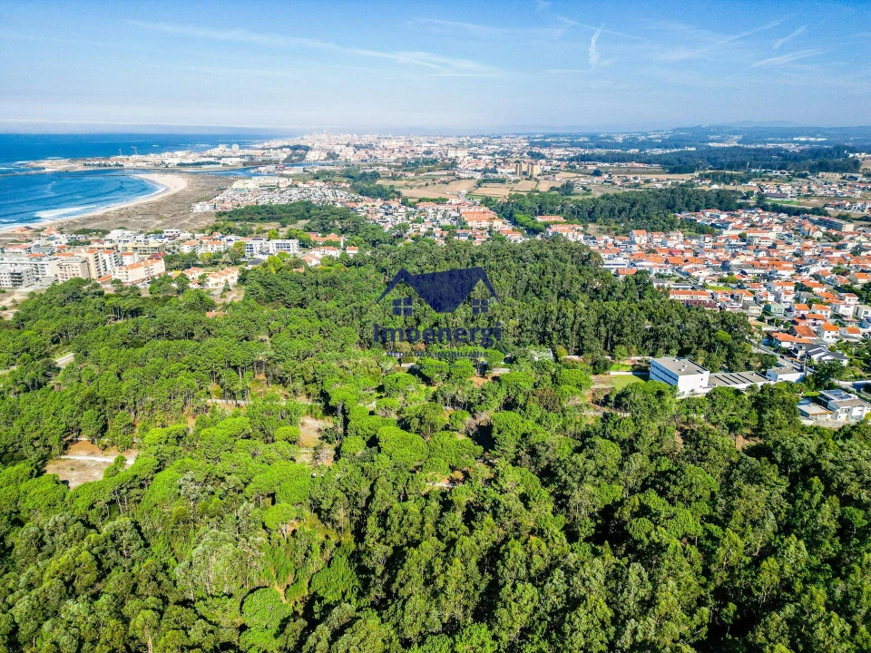 Prédio para Venda em Arvore Foto 39