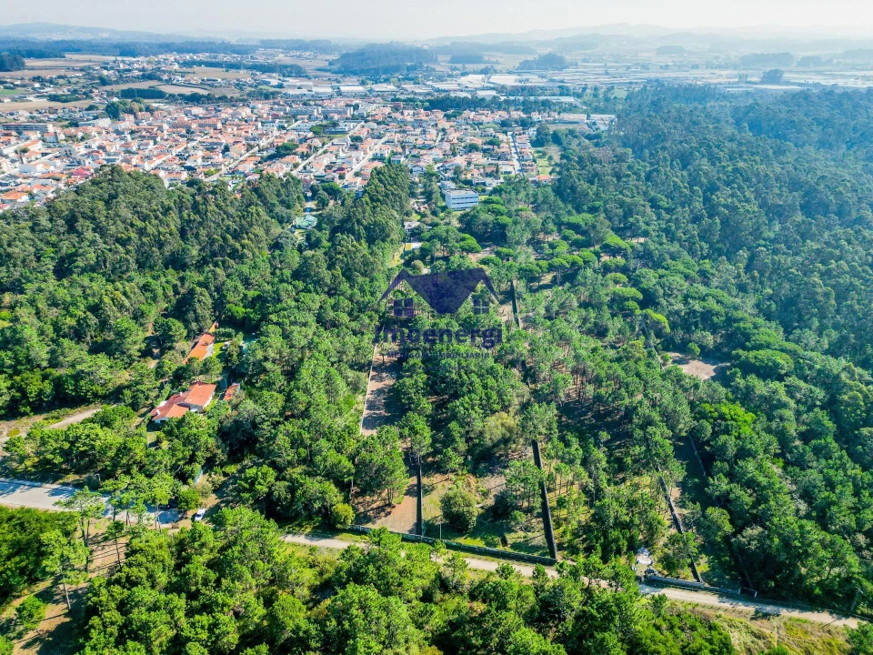 Prédio para Venda em Arvore Foto 40