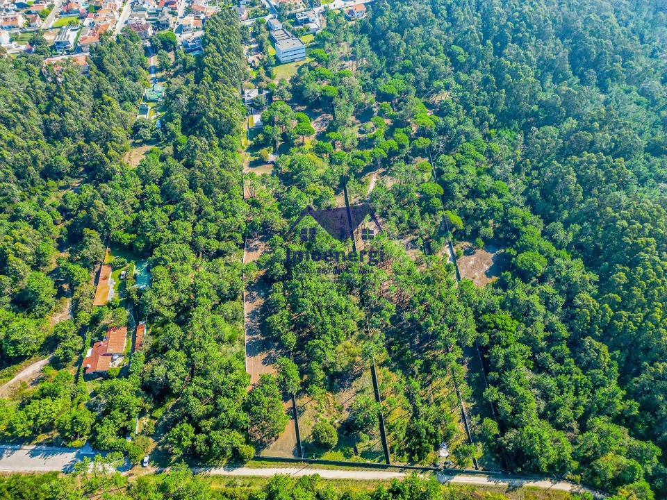 Prédio para Venda em Arvore Foto 41