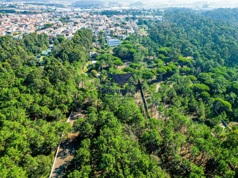 Prédio para Venda em Arvore Foto 42