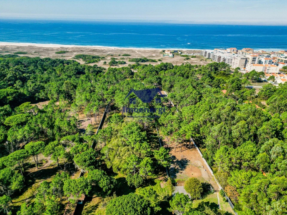 Prédio para Venda em Arvore Foto 44