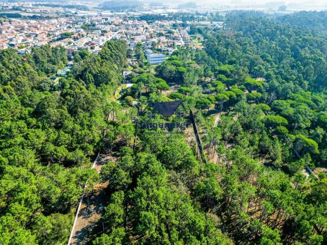 Prédio para Venda em Arvore Foto 42