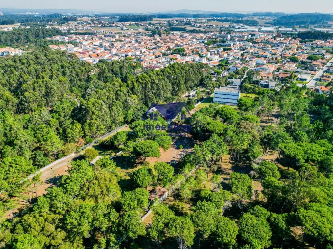 Prédio para Venda em Arvore Foto 43